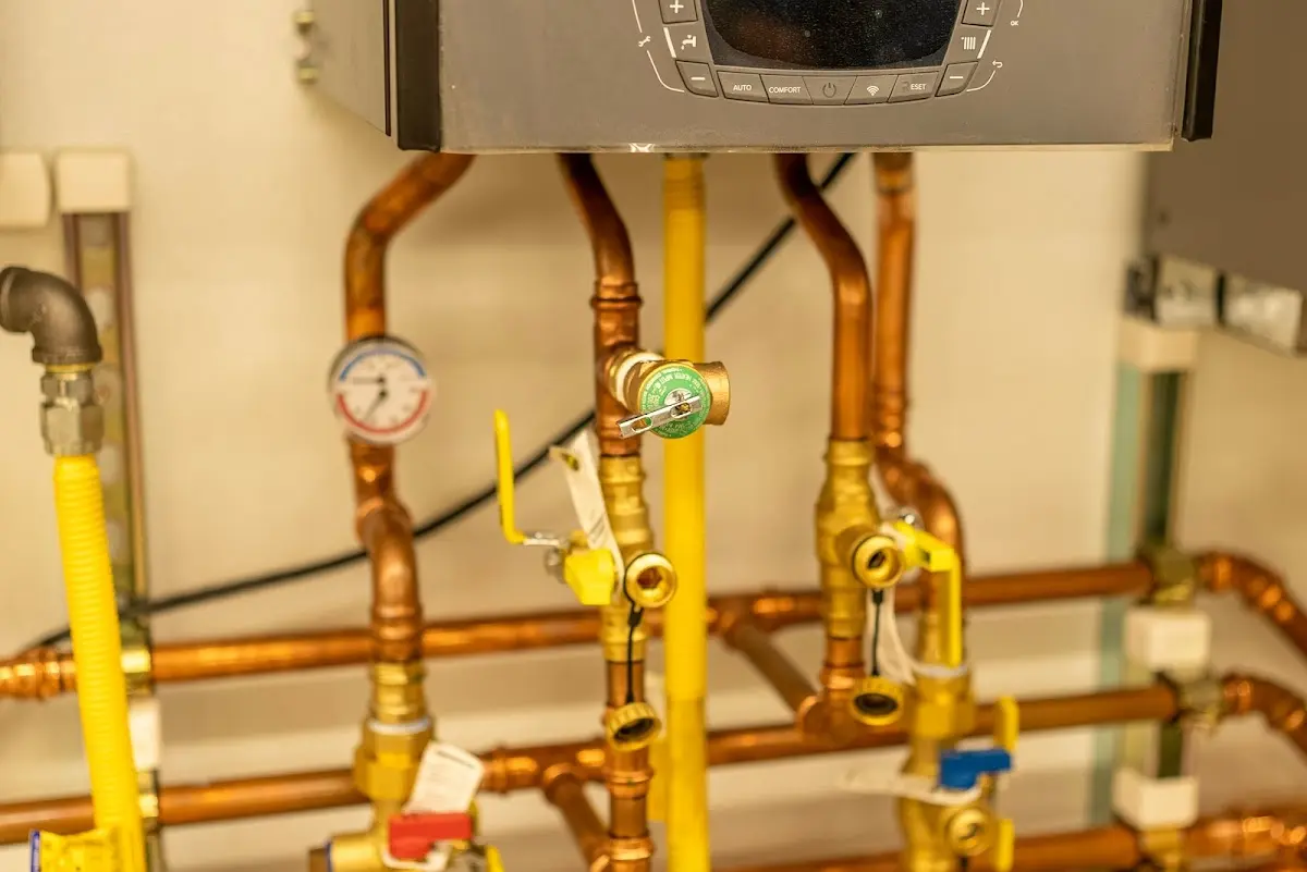 Licensed technician providing Sewer Cleanout for a homeowner in Forestville